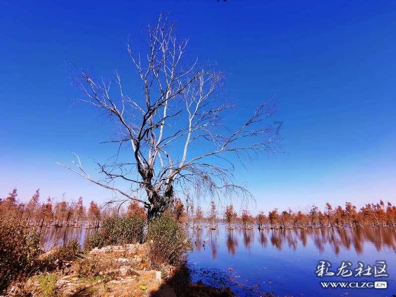 在《隐秘而伟大》里，到底是谁杀死了钟处长?游戏画面