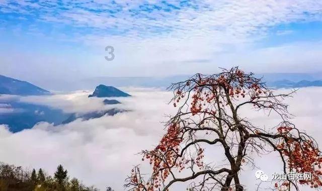 数据惊人！苹果中国10年售出3.8亿台手机，你看好哪款机型？游戏画面