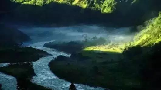 塔科马
