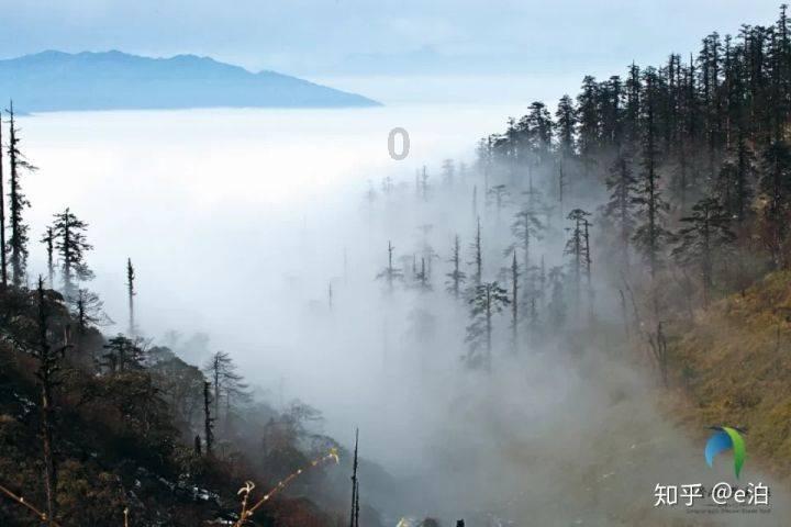 逍遥觅仙