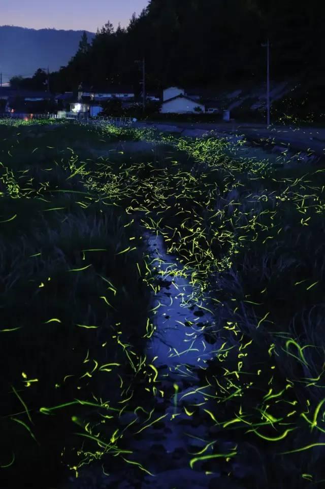【甘快看】灾后重建进行时 曹学锦家的板房里有一股“精气神”
