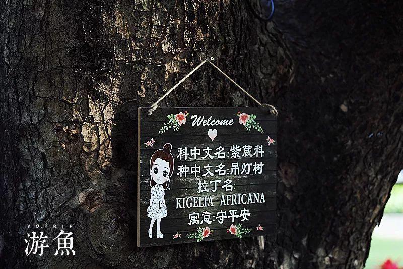 乐高都市卧底风云
