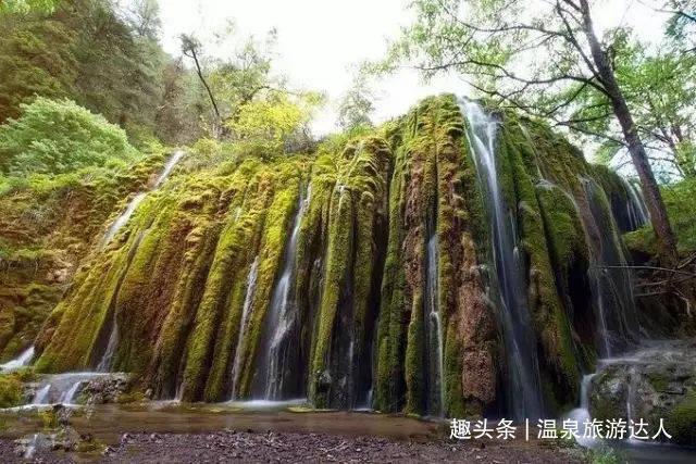 全民烧脑3去广告版