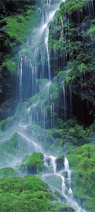 逃出安逸小乡村