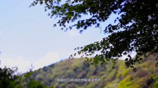 让国际理解教育扎根校园 黄埔跑出创新“加速度”