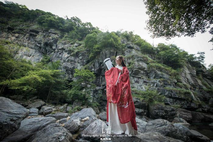 标致408和经典福克斯高速对比游戏画面