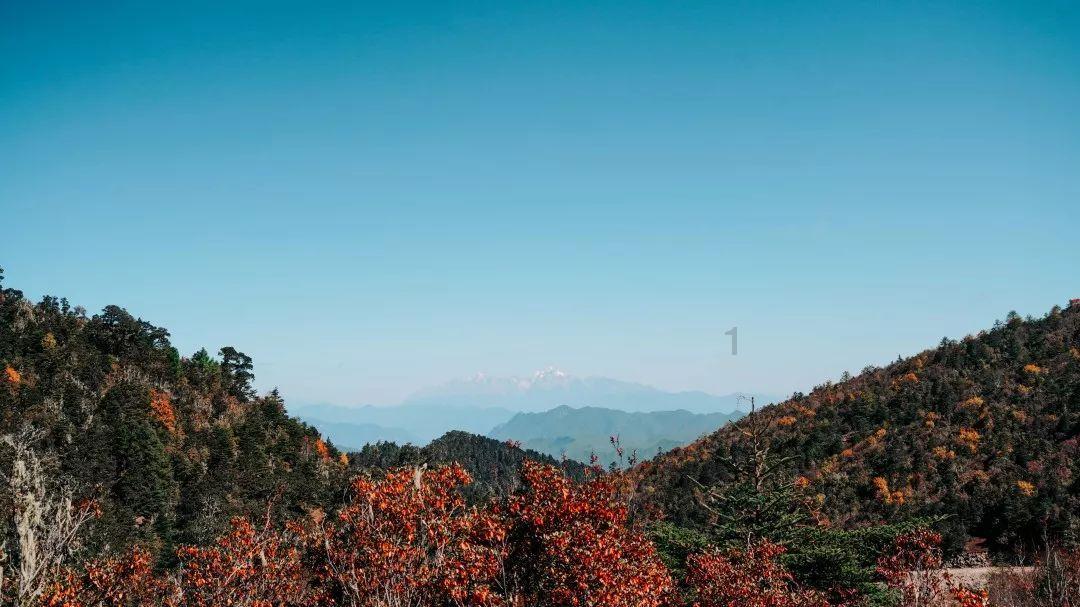 我州4县市荣膺全省最具影响力烟区