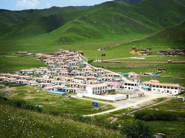 新农人深耕乡土 “领头雁”振兴乡村