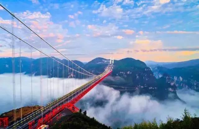 狐狸的旅程