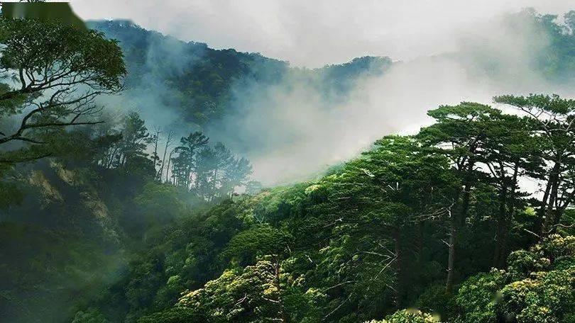 公主设计师大赛