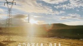 创作猫