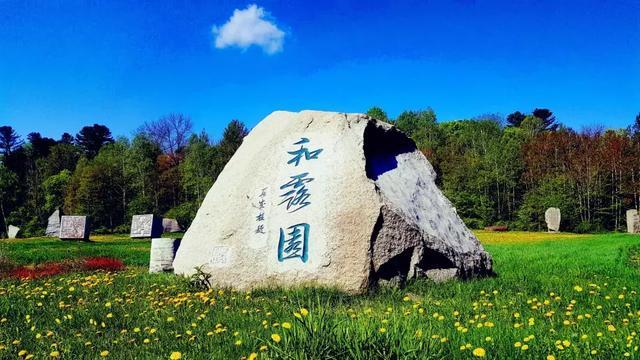 小猫钓鱼游戏龙王版有船