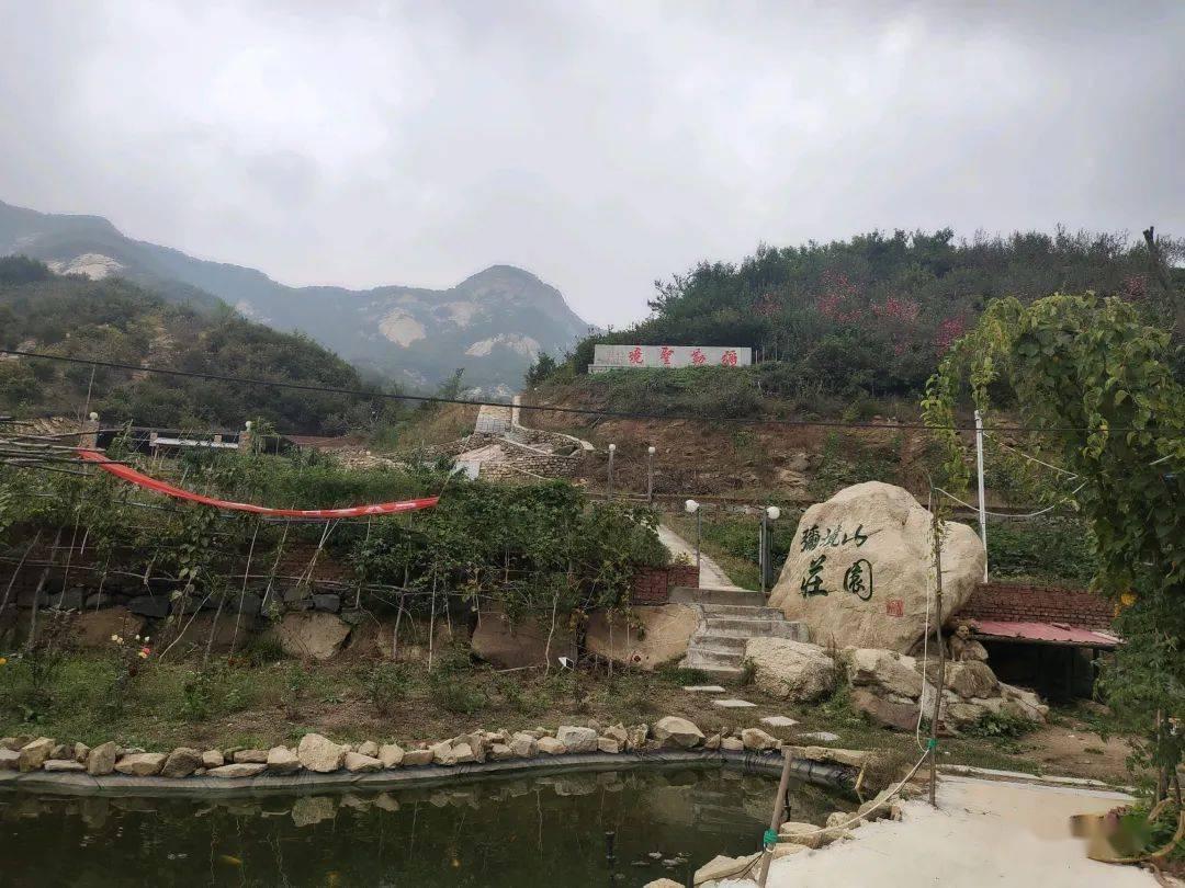 虫虫助手下载