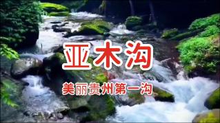 第13批援巴新中国医疗队完成当地首例血透治疗