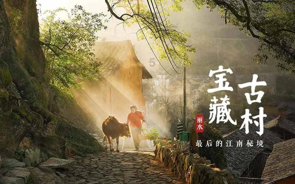 创作猫