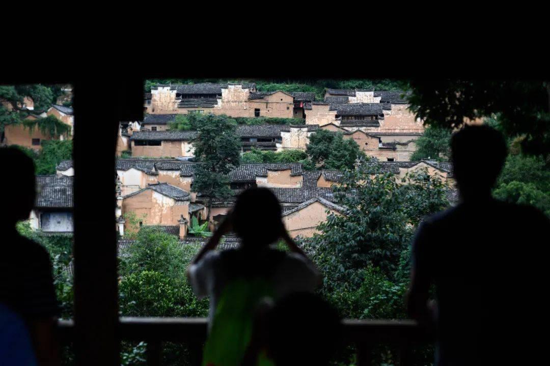 格斗巅峰大作战