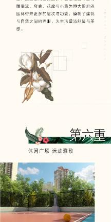 进击的飞机