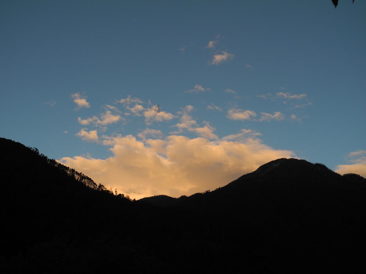 沪江开心词场