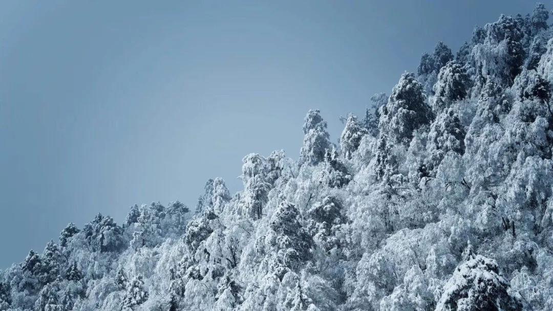 沪江开心词场