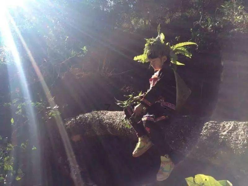 【生活提示】太原植物园科普导览功能上线