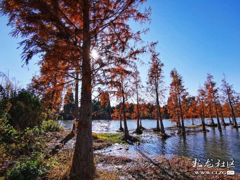 黔东南州用好“桥头堡”政策 助推旅游业高质量发展