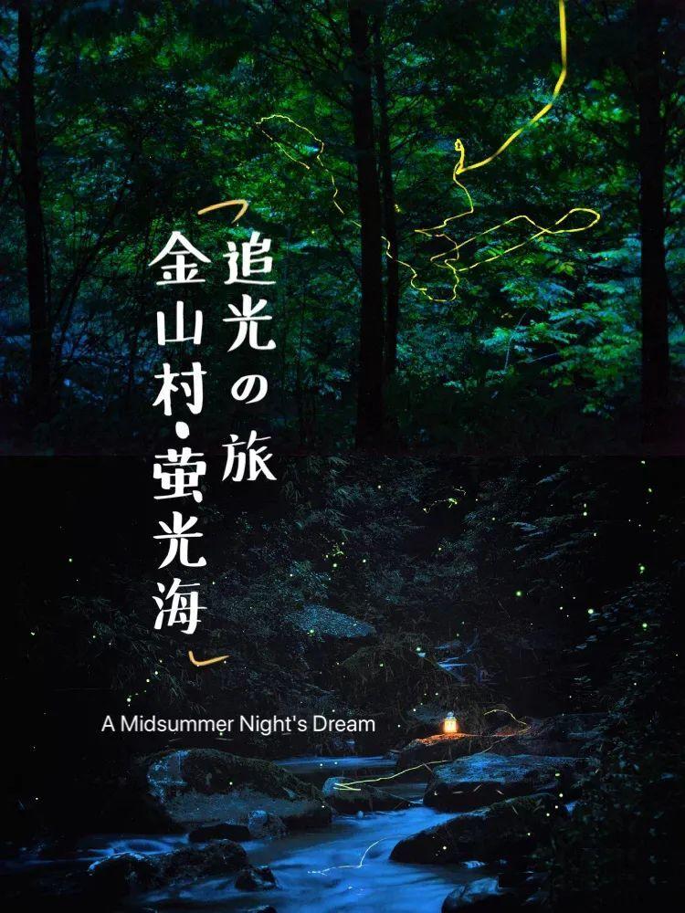 自由小迷宫