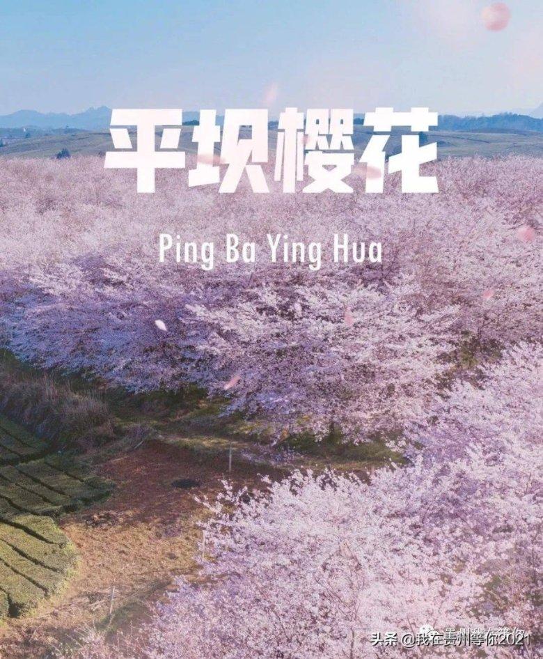 雨血：影之刃