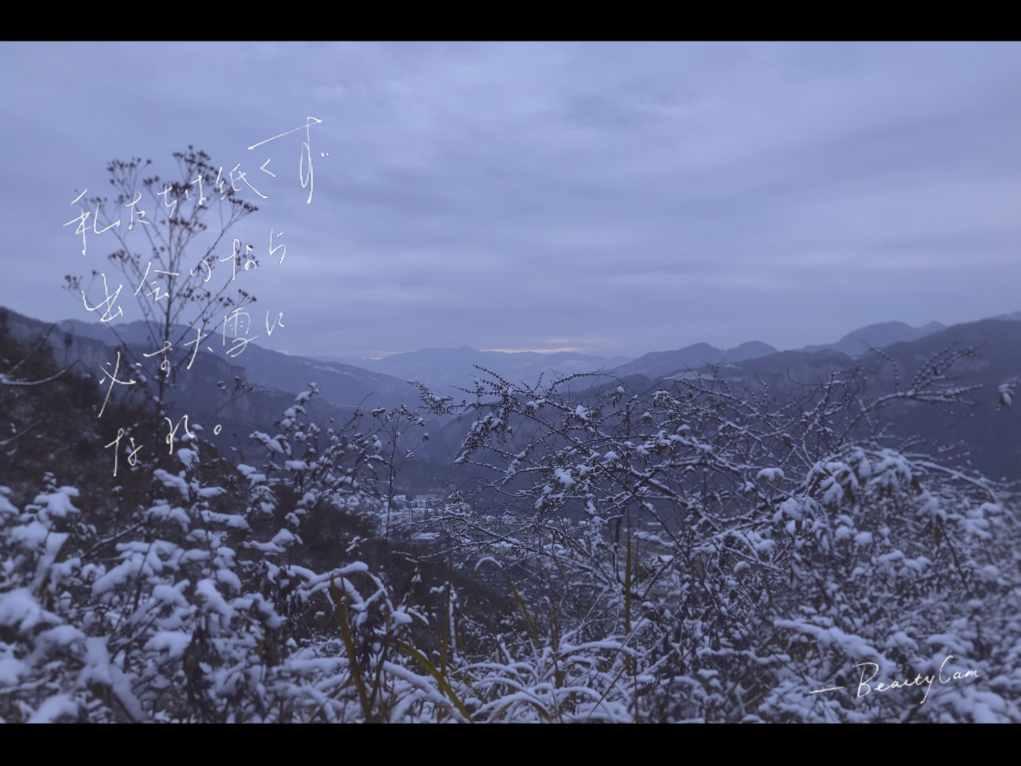 拯救可爱小鳄鱼