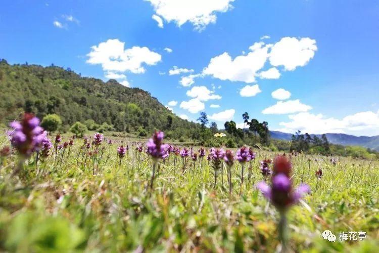 首映日的300万票房，真就是此片巅峰了吧 ，《花千骨》们何去何从