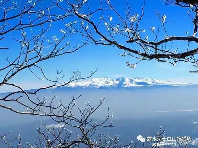 燃烧吧大脑免广告最新版