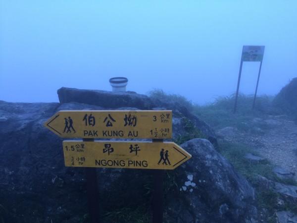 月光影视