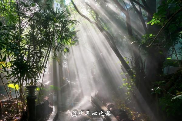 好消息,九江这些小区受益!