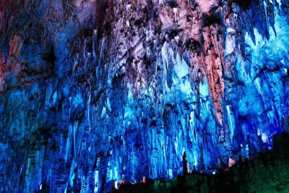 虫虫助手下载