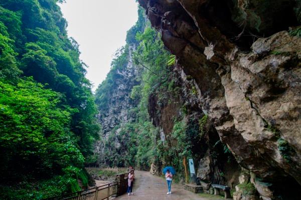 贵州毕节七星关区：为民办实事有“温度” 让主题教育有“深度”