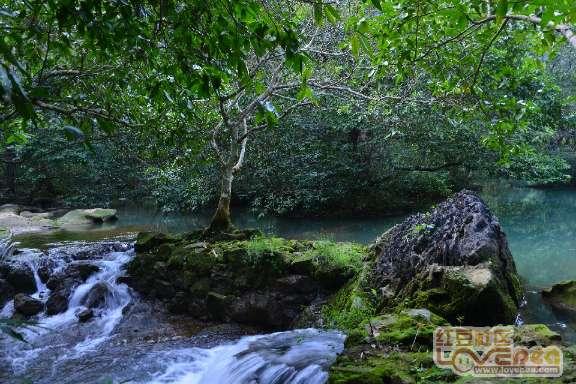 江西“两区同建”加强药品安全监管能力建设