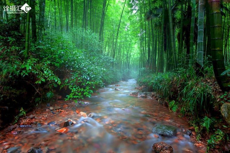 逃离废弃高校