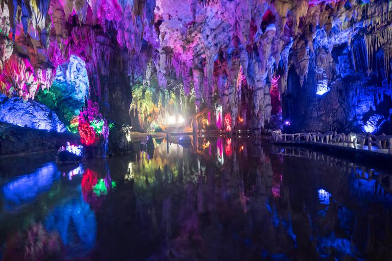丹阳一寺院门口惊现一只“灵鸟”