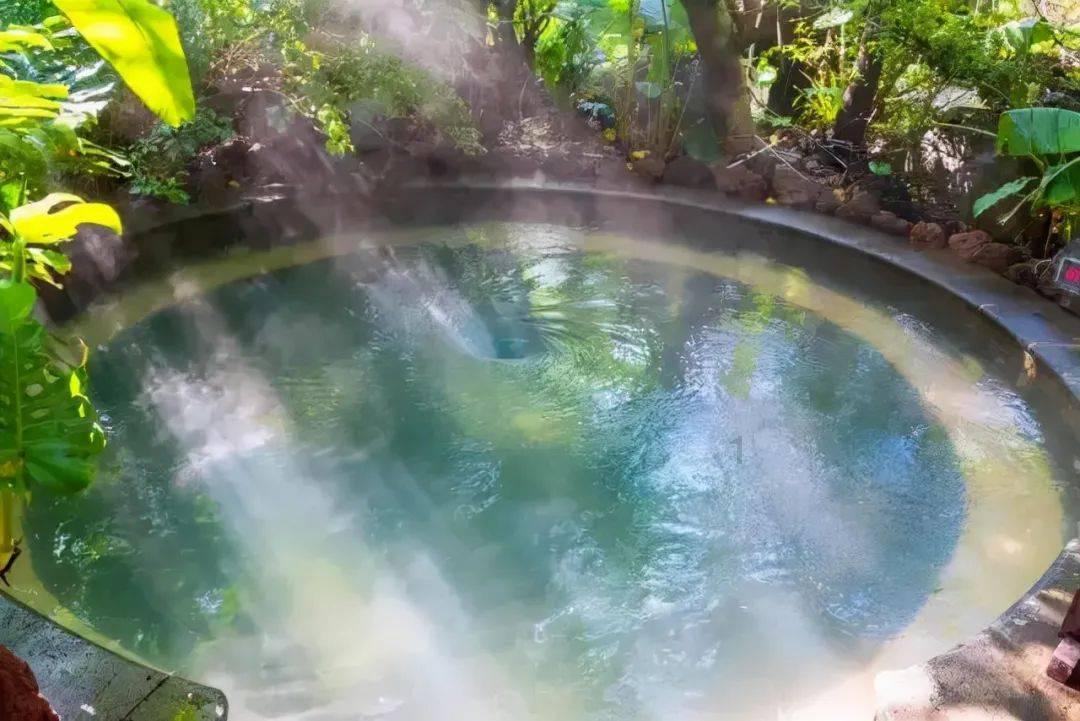 精灵格蕾