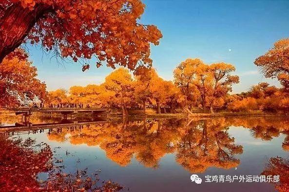 球球大作战下载最新版