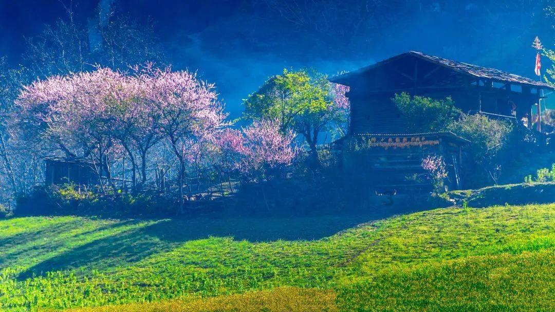 战国无双：真田丸