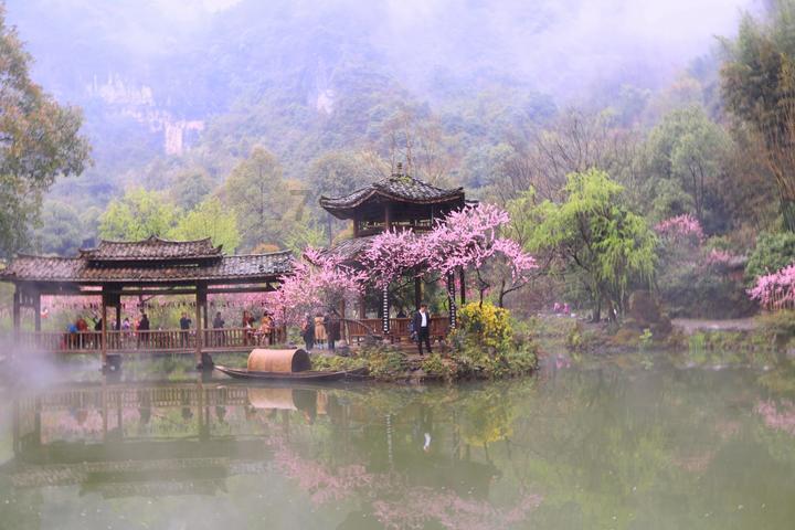胡同人生：在传统中生活与老去