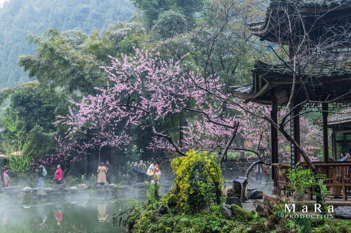 丧尸围城3