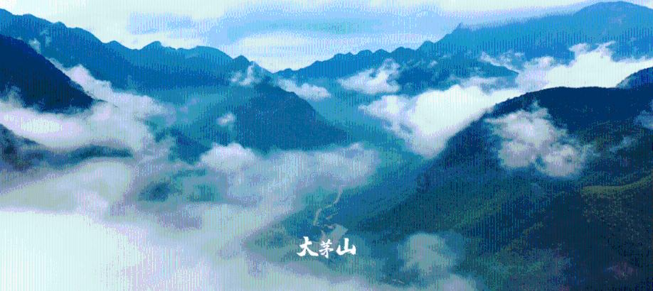 全民烧脑3去广告版