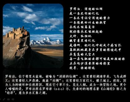 动物帮帮忙保卫家园