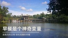 windows怎么升级系统,系统升级详解:三种主要方法与步骤