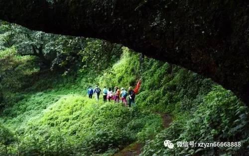 细胞分裂6