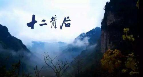 虫虫助手下载