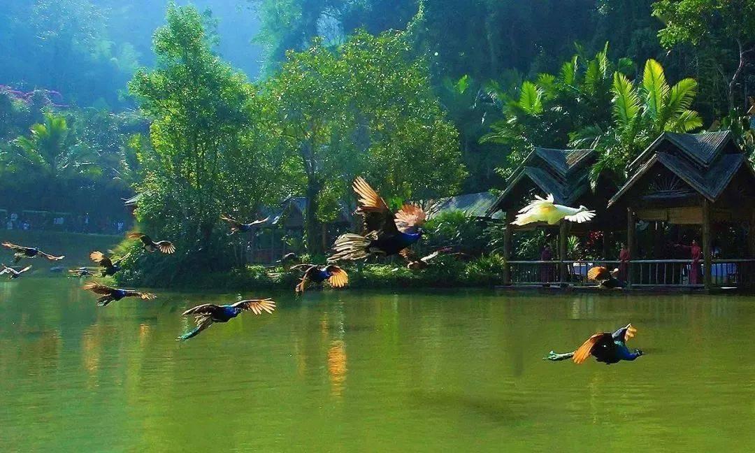 东鹏特饮，“累了困了”