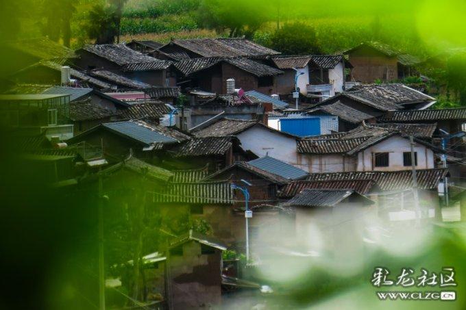 缅北大结局