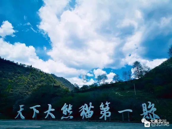 《年会不能停!》爆了!大鹏的三句话,道尽了成功的真相!